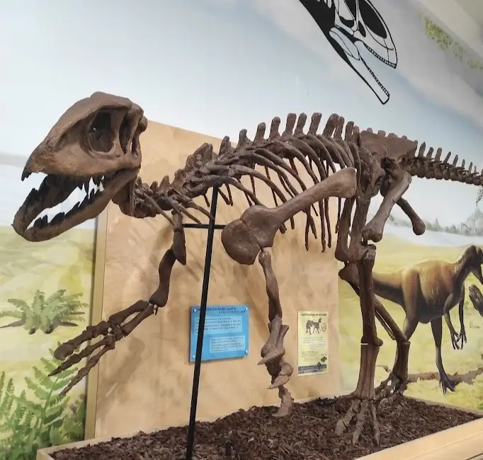 Fossil de um lourinhanossauro